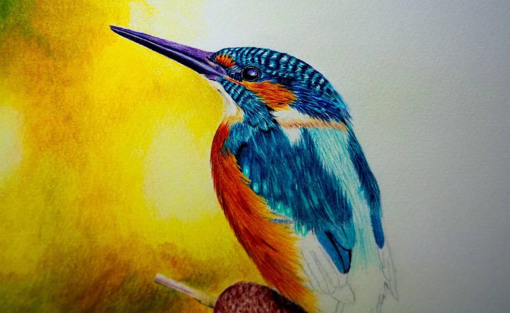 Drawing With 1 Colour