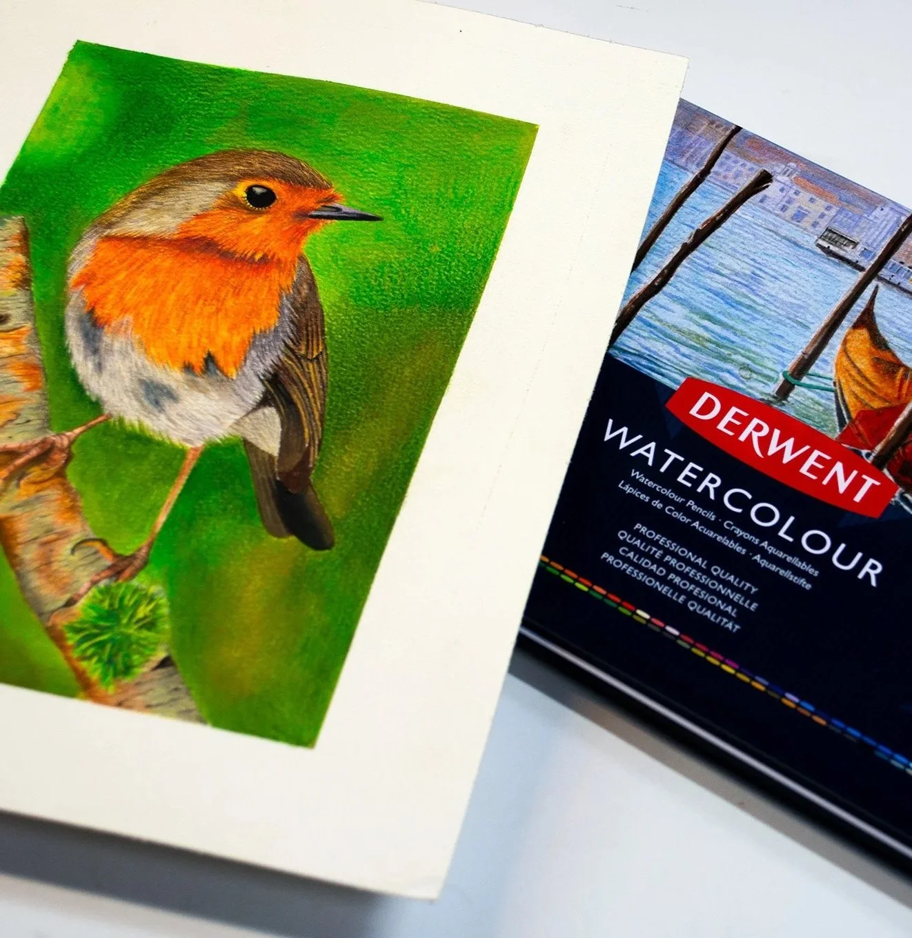 Painting a Robin Red Breast With Derwent Watercolour Pencils 