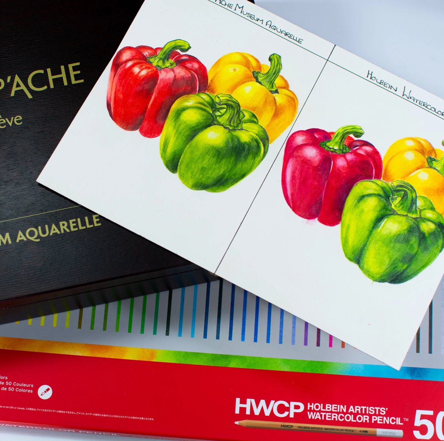 Caran d'Ache Museum Aquarelle and Holbein Watercolor Pencil Comparison Botanical Artwork