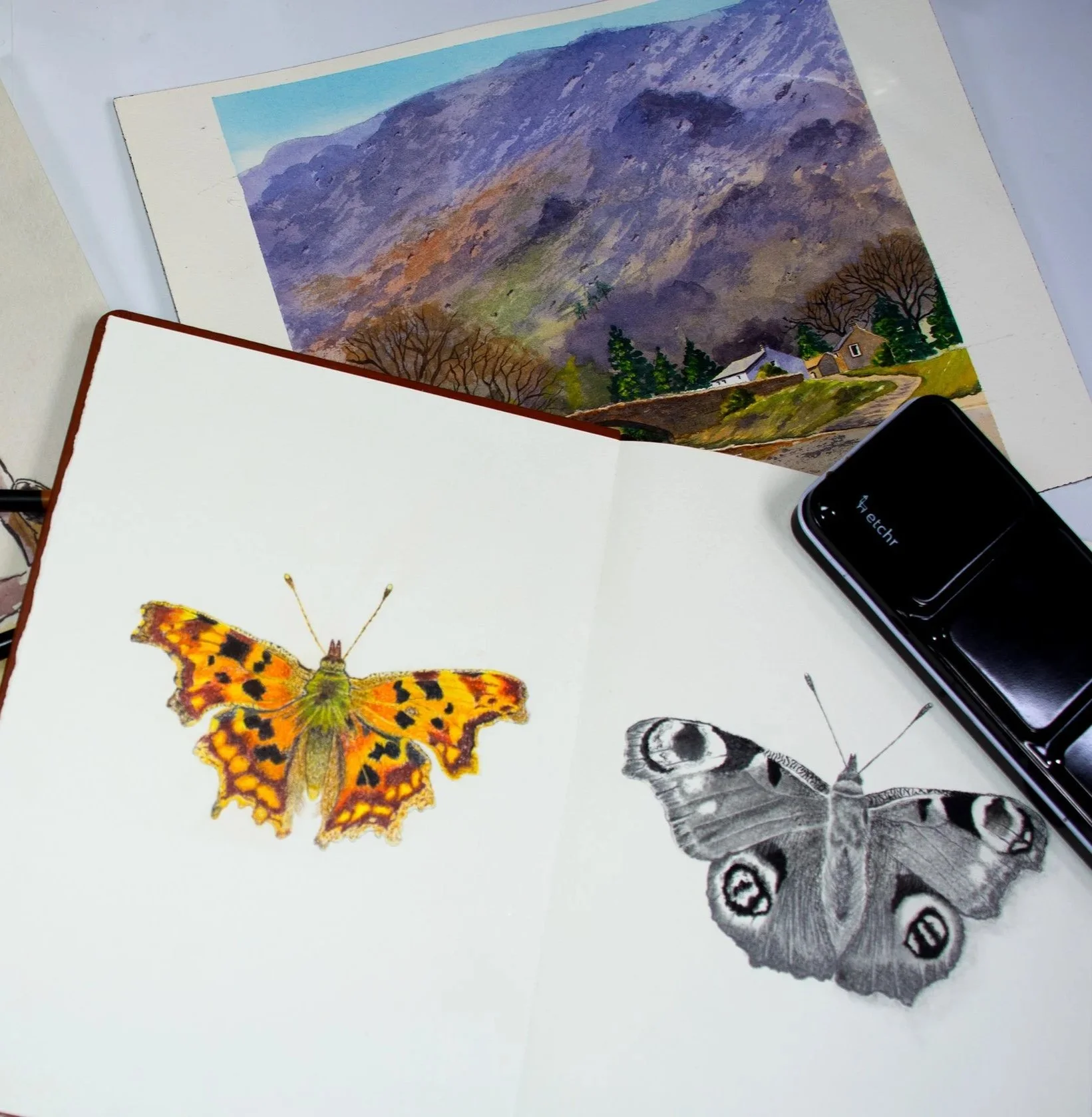 Etchr Signature Watercolour Sketchbook Botanical And Butterfly Art