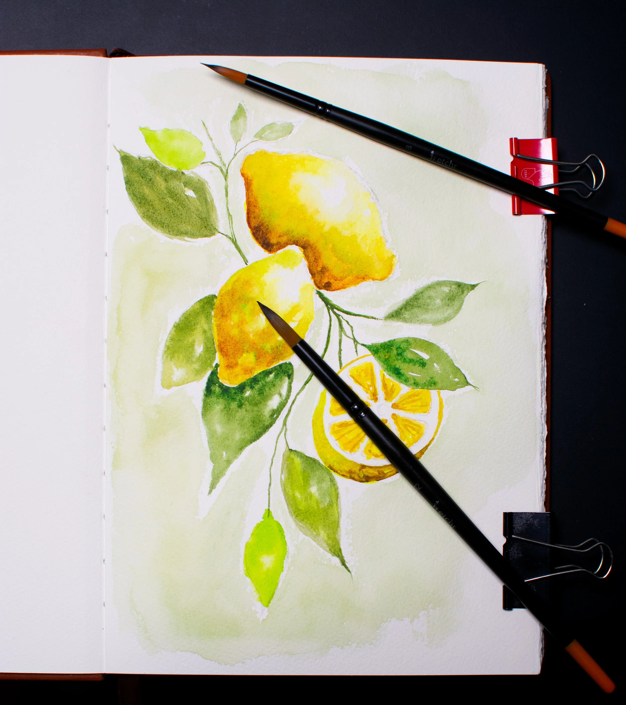 Botanical Painting Etchr Signature Watercolour Sketchbook