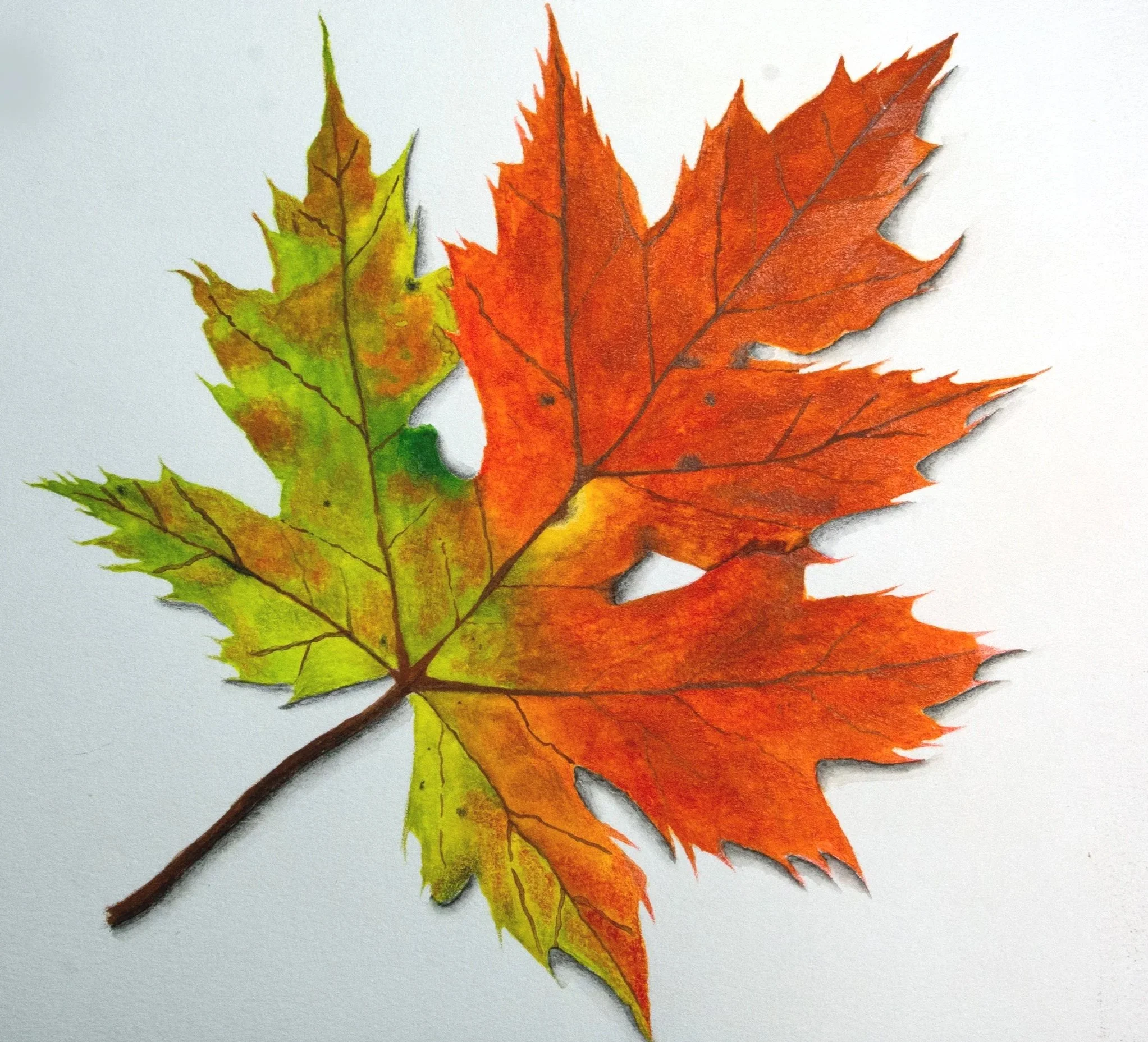 Artwork Using The Staedtler Mars Lumograph Colour Aquarell.