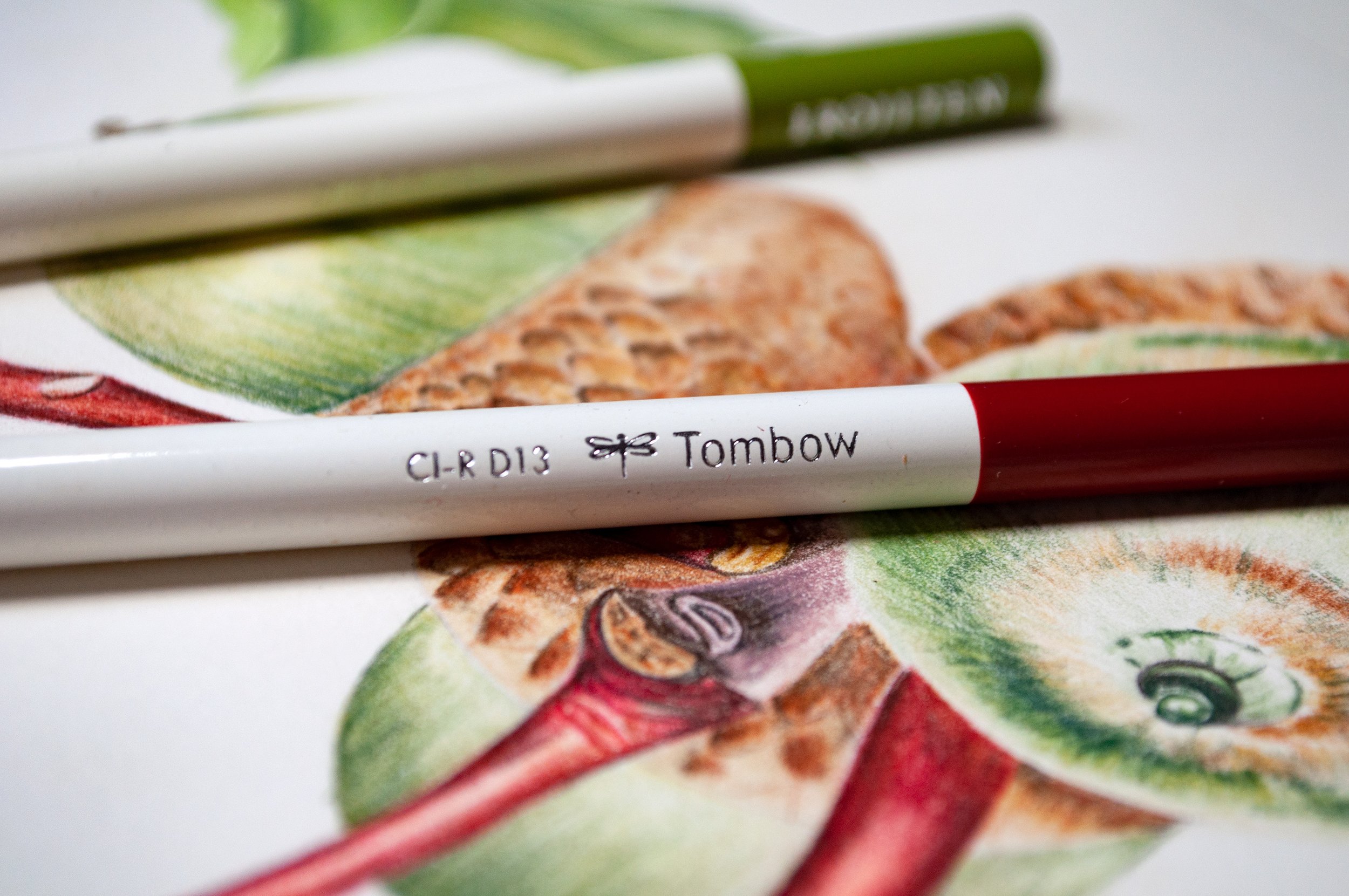Tombow 51528 Irojiten Colored Pencil Set, Vivid. Includes 12 Premium  Colored Pencils, Sharpener, and Colored Pencil Eraser