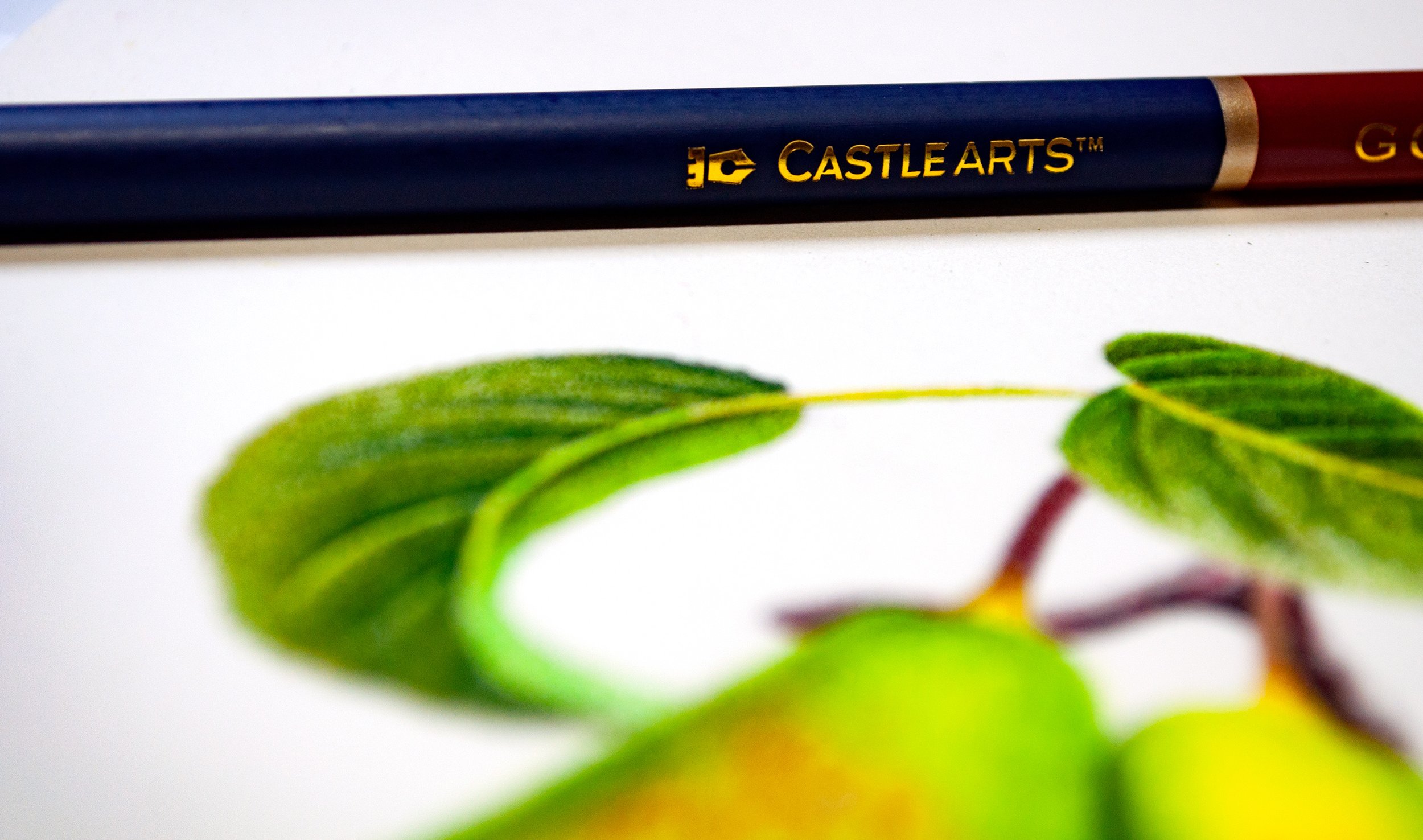 Castle Arts 120 Piece Castle Gold Colored Pencil Set in Zip Up