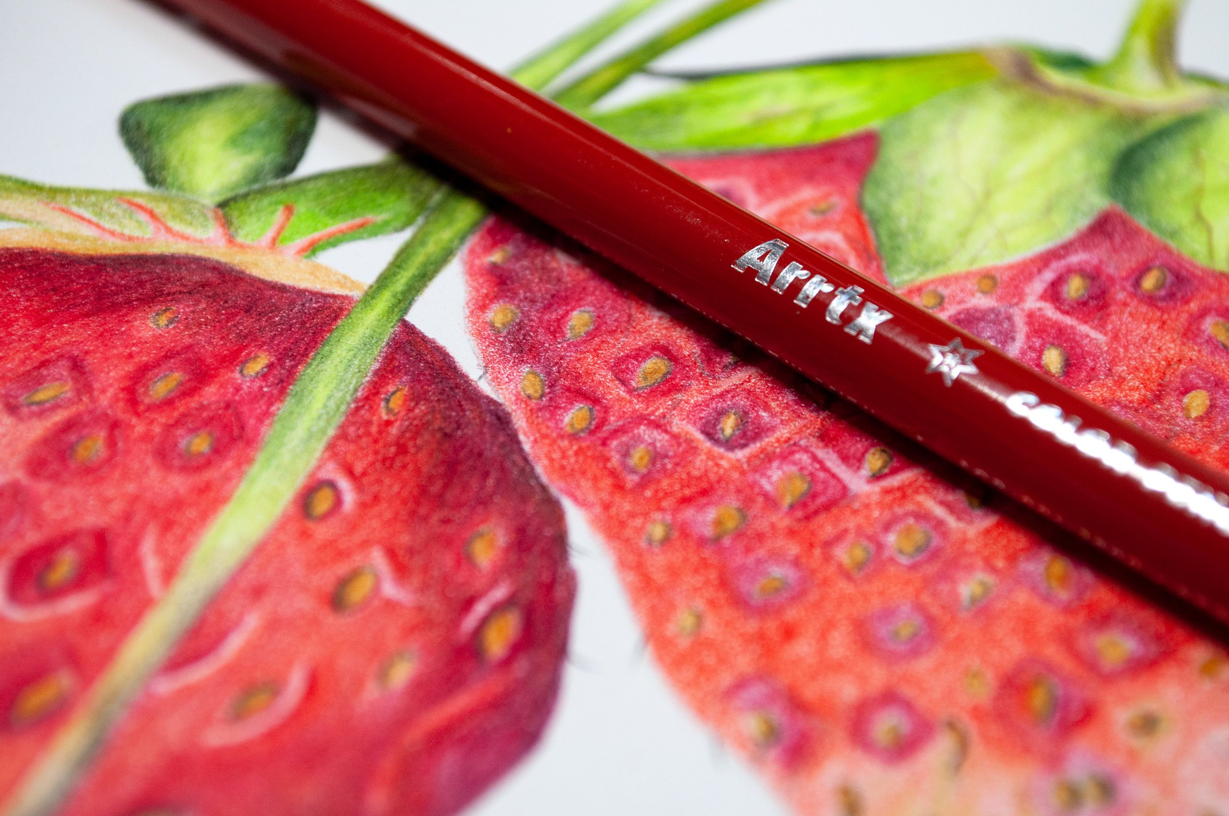 Arrtx Colored Pencil Demonstration Of Strawberry Artwork — The Art Gear  Guide