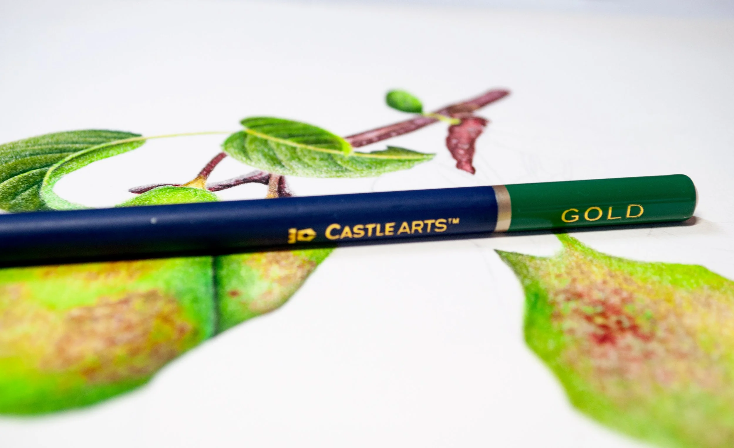 Botanical Art With Castle Arts Gold Colored Pencils — The Art Gear Guide
