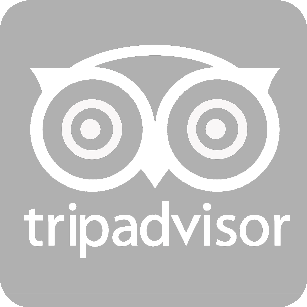tripadvisor.png