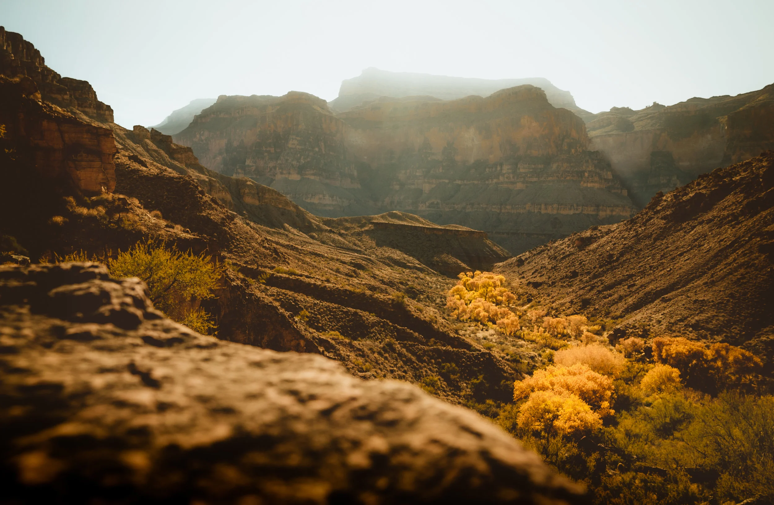 Grand Canyon landscape.jpg
