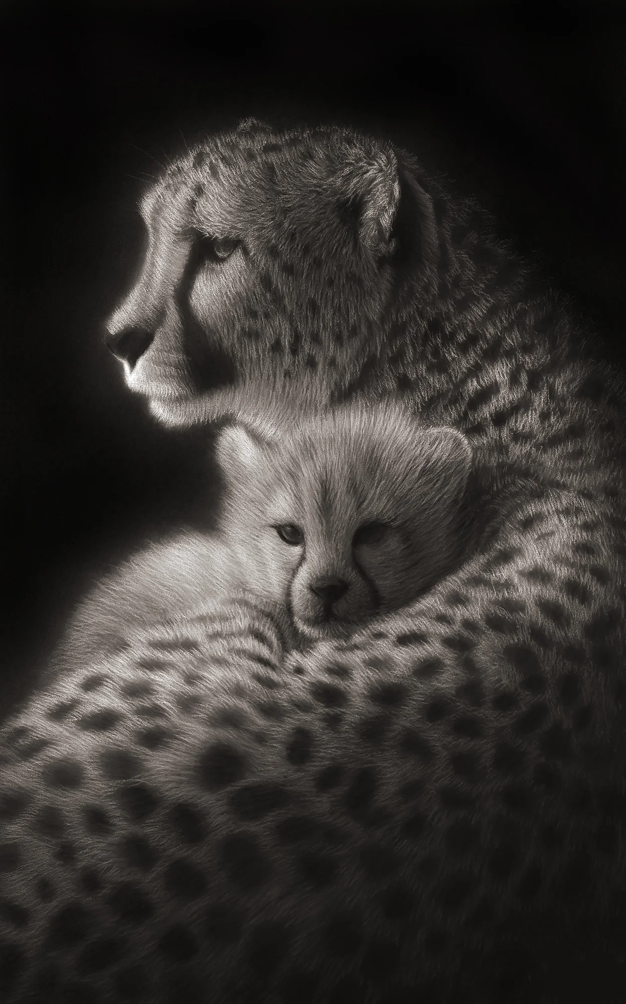 A mothers love