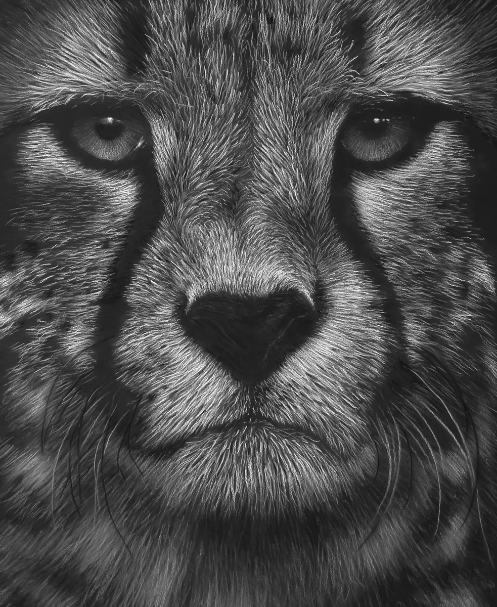 Savannah spirit