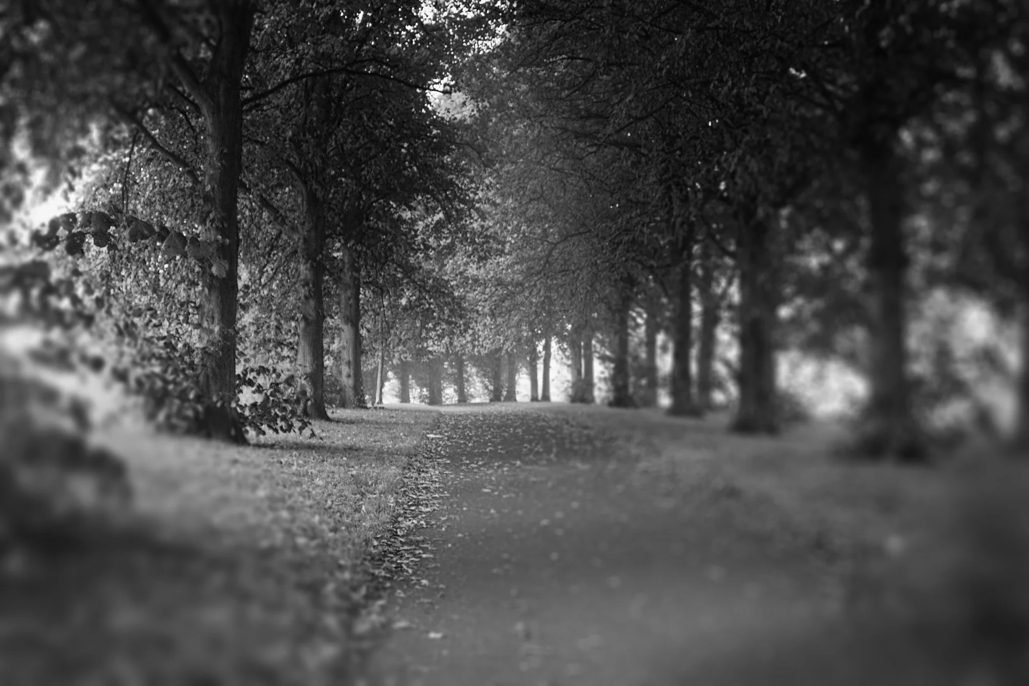 Inverleith.jpg