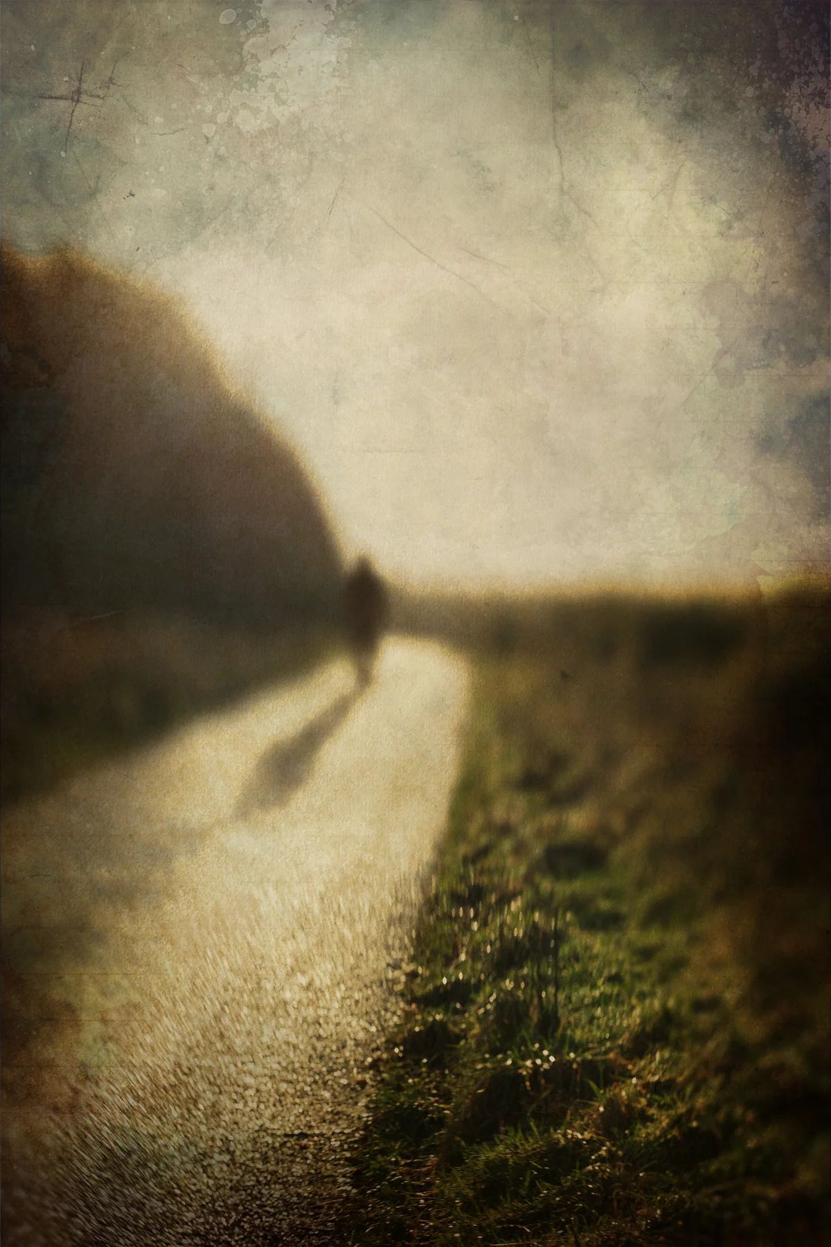 The long road.jpg