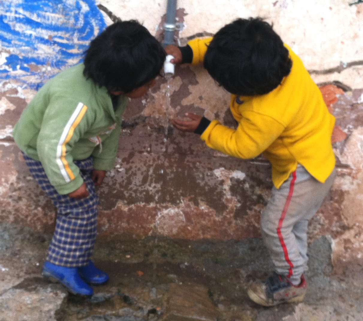 Drinking water Wayllarcocha.jpg