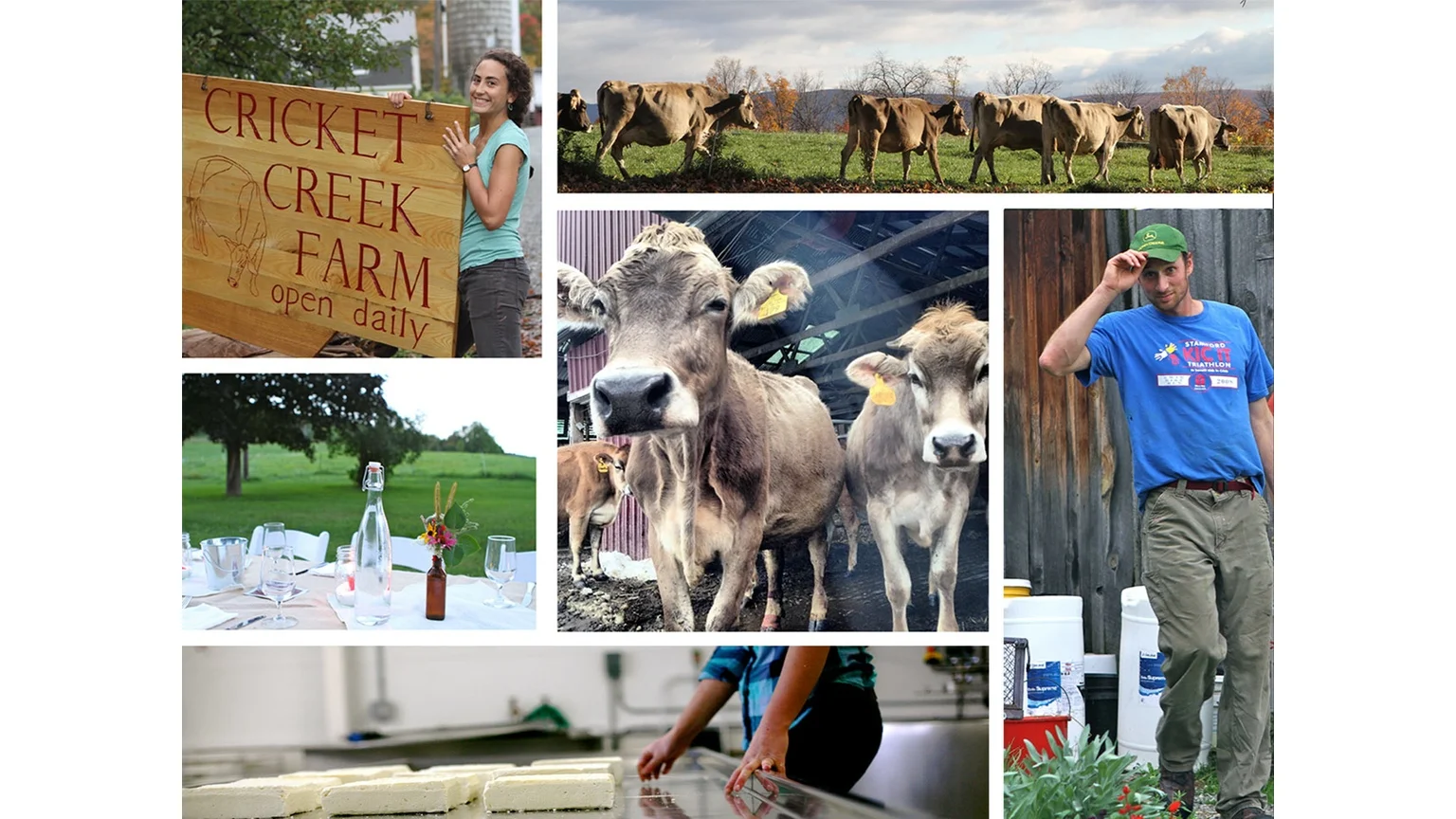 CRICKET CREEK FARM This northern Berkshire farm is located in Williamstown Ma, producing artisan cheeses, milks and meats. Address: 1255 Oblong Rd, Williamstown, MA 01267 Phone: (413) 458-5888