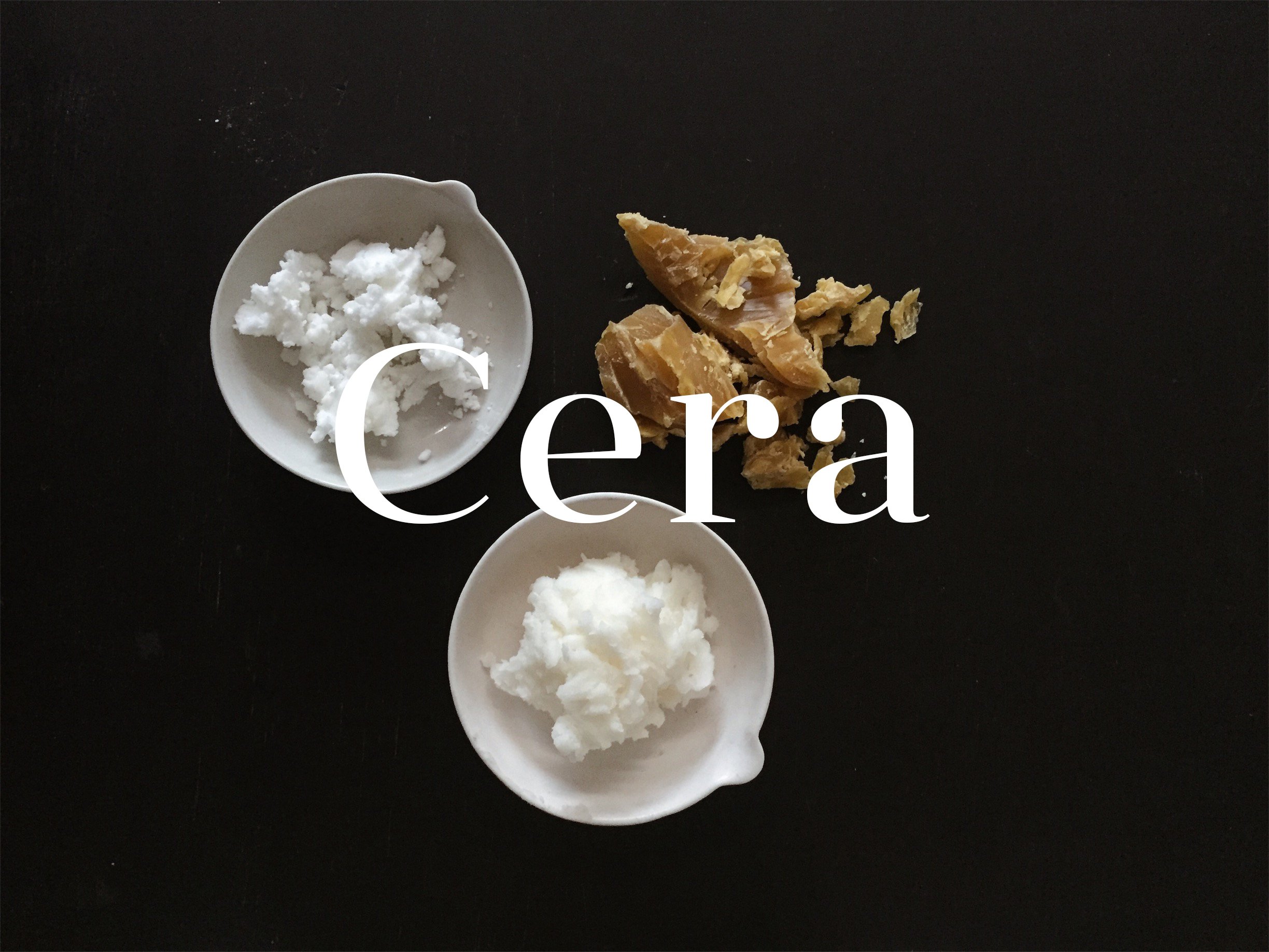 ingred cera.jpg