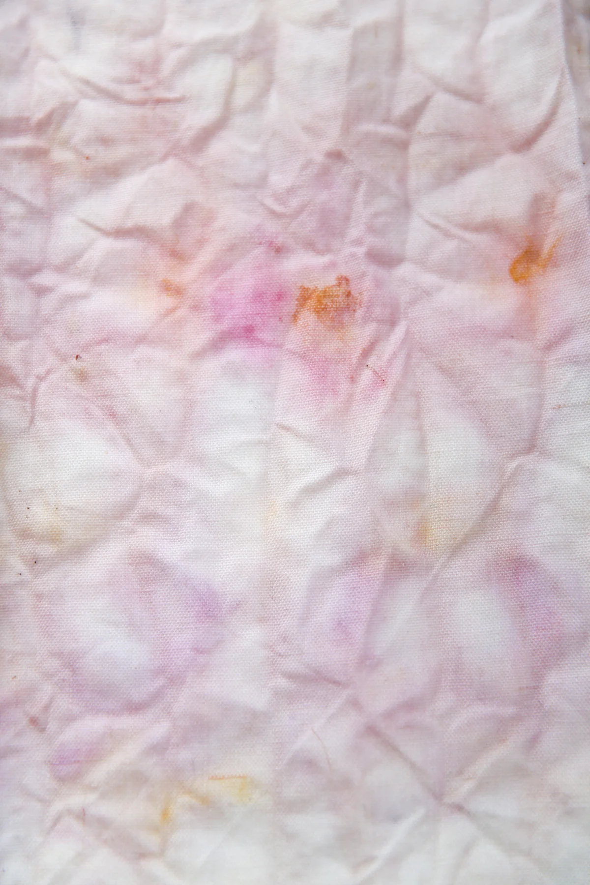 bundle_dye-32.jpg