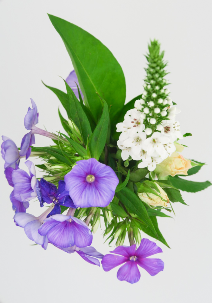 Flower props will be featuring heavily in the forthcoming money shots.