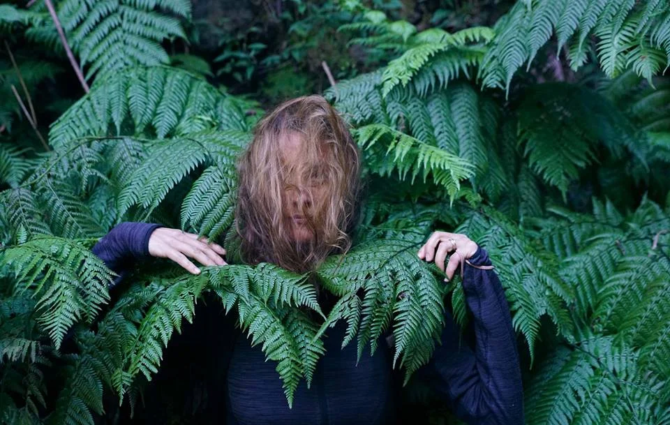 k in ferns.jpg