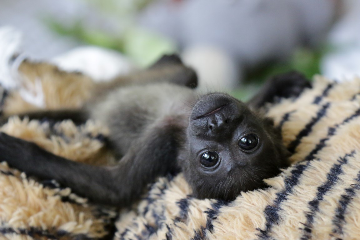 © Laura Wilkinson | Refuge for Wildlife