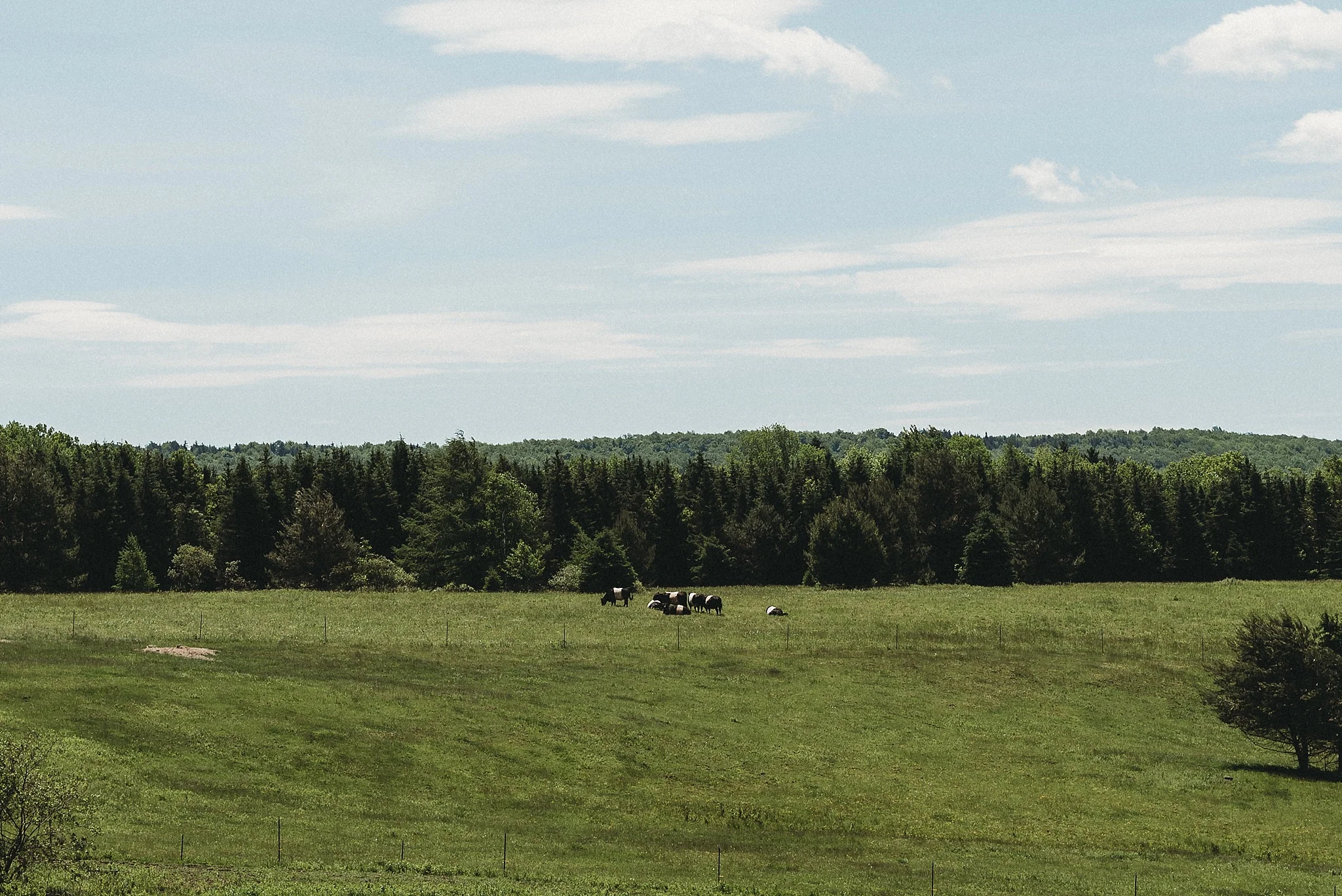 catskills_wedding_2237.jpg