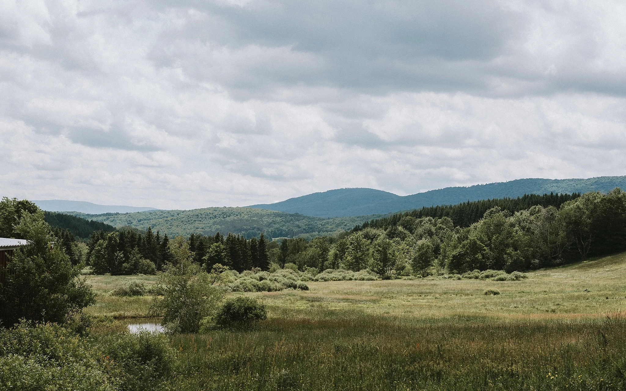 catskills_boho_wedding_2590.jpg