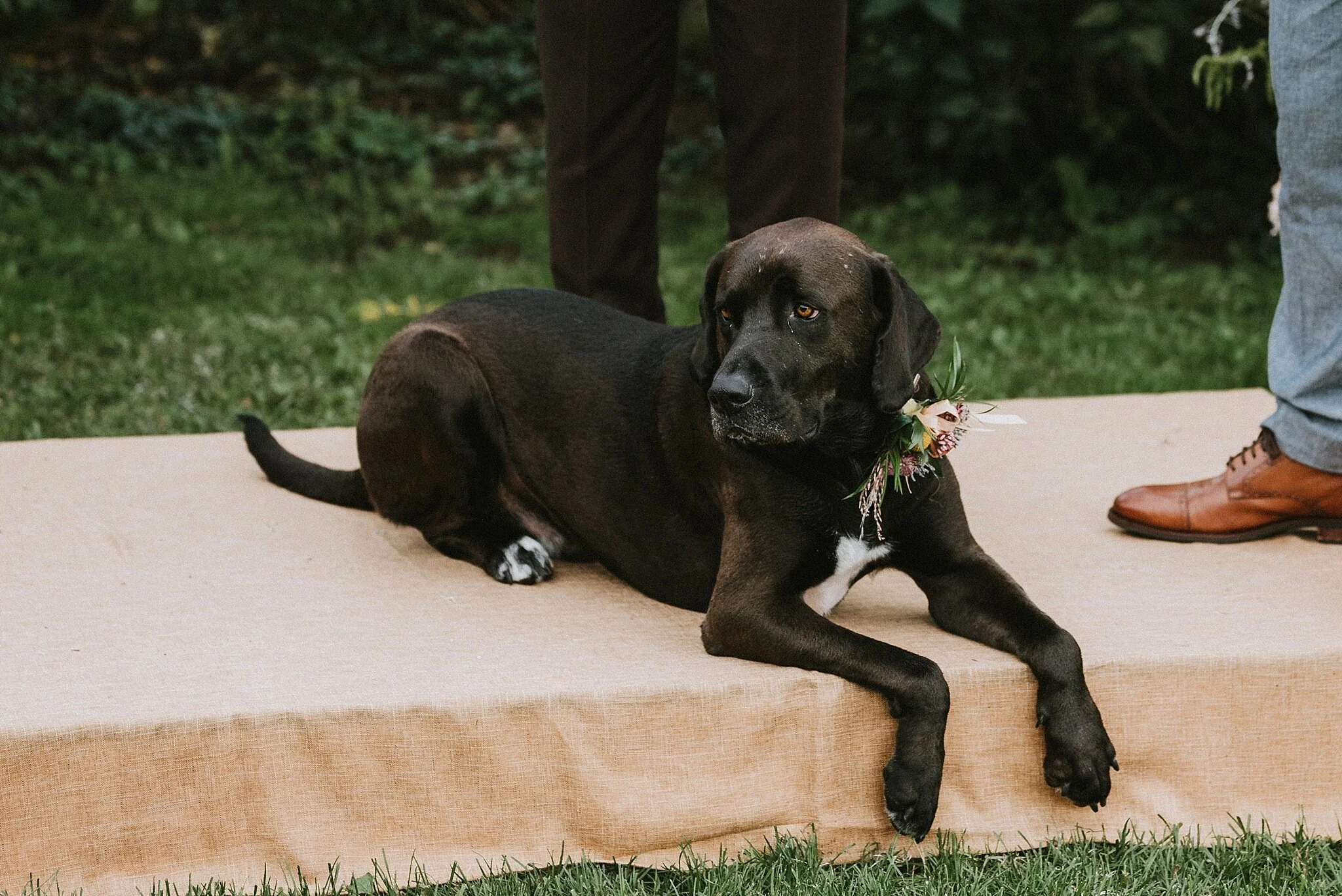 connecticut_wedding_3056.jpg