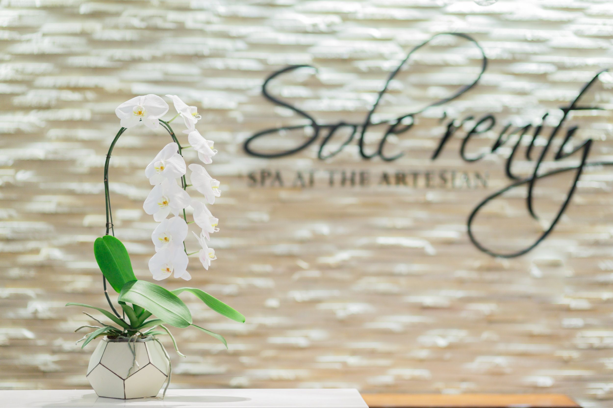 Solerenity-24.jpg
