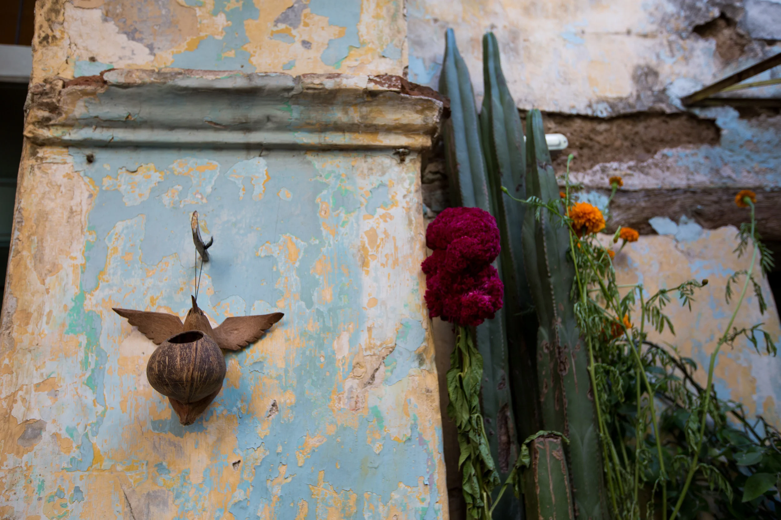 Eat Your Way Through Oaxaca, Mexico