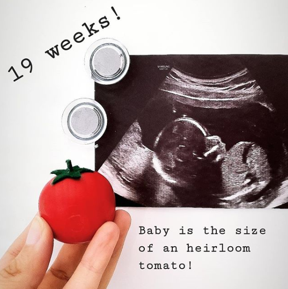 tomato.png