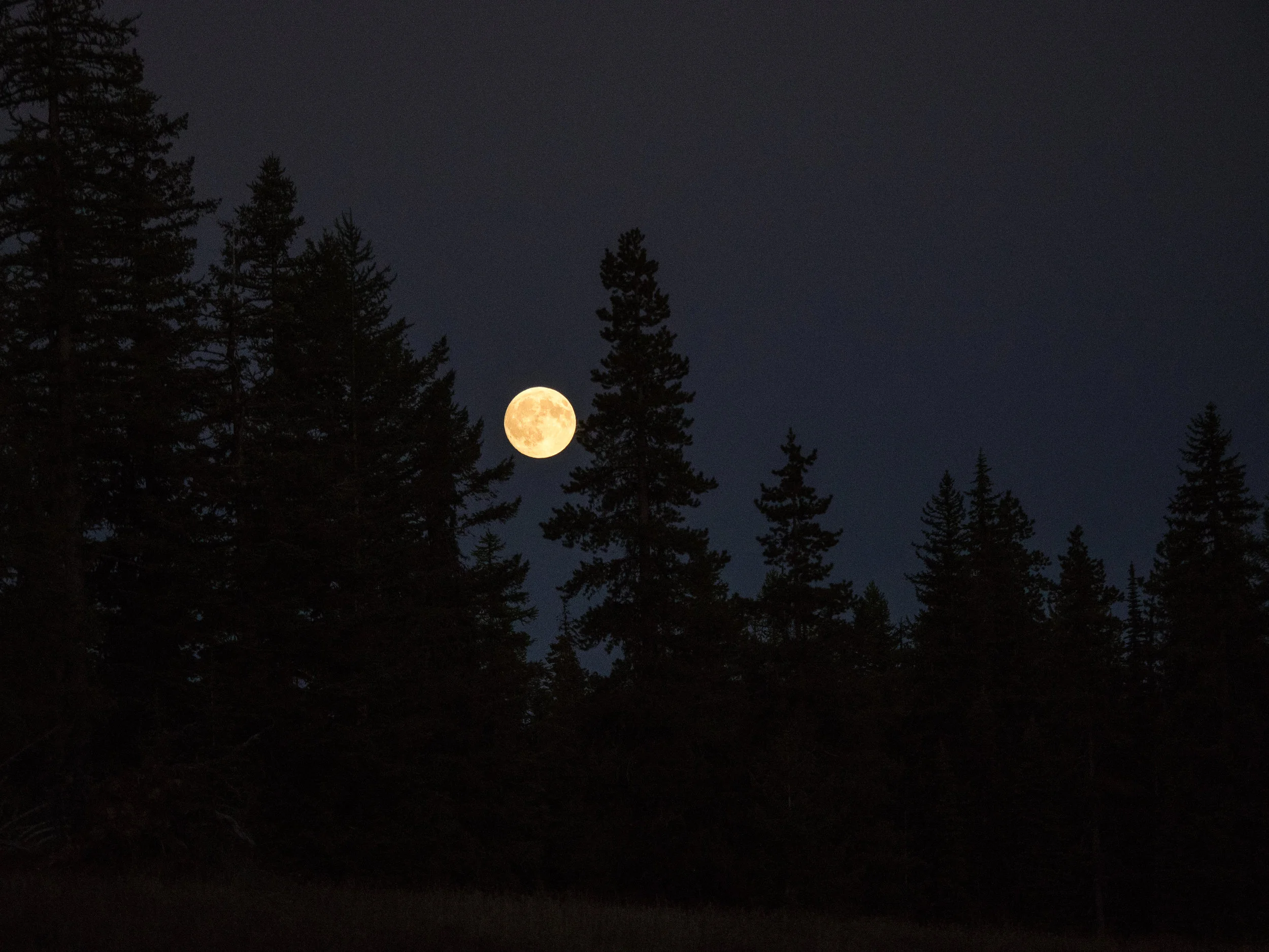 Elk Camp Full Moon.jpg