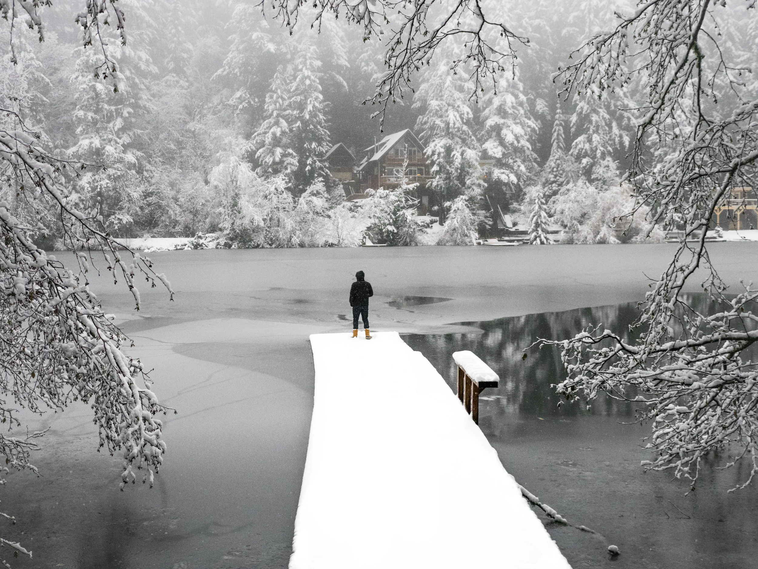 Walking in a Winter Wonderland.jpg
