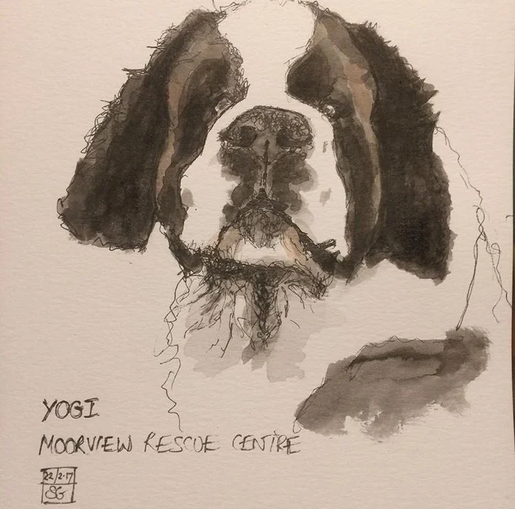 BOW.WOW.SKETCH