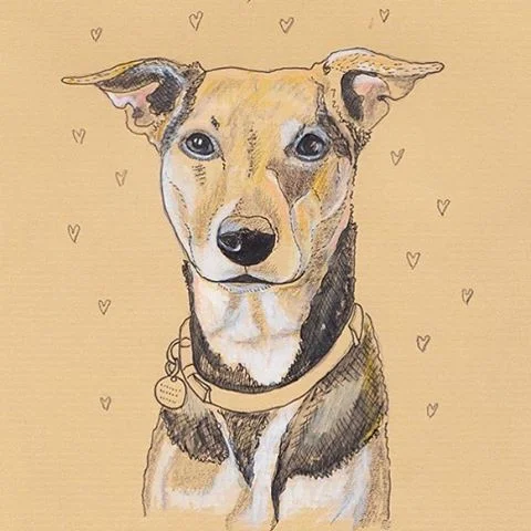 Ronnie by @em_menagerie