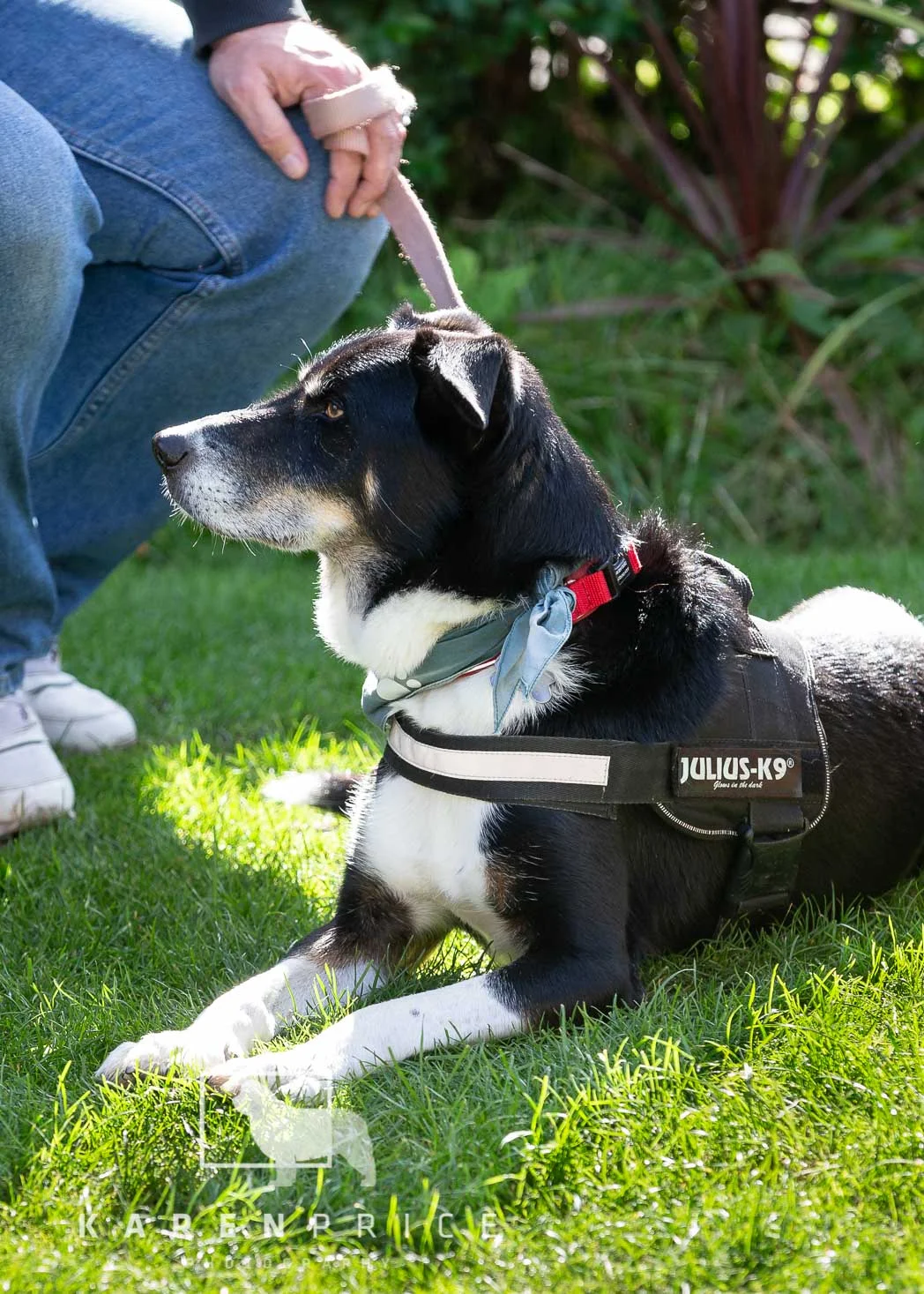 Moorview Dog Walk 2018-066.jpg