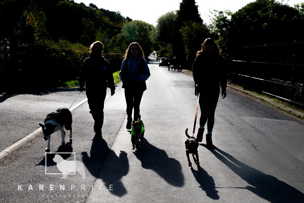 Moorview Dog Walk 2018-047.jpg