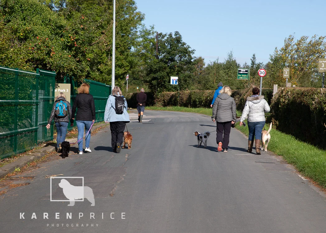 Moorview Dog Walk 2018-046.jpg