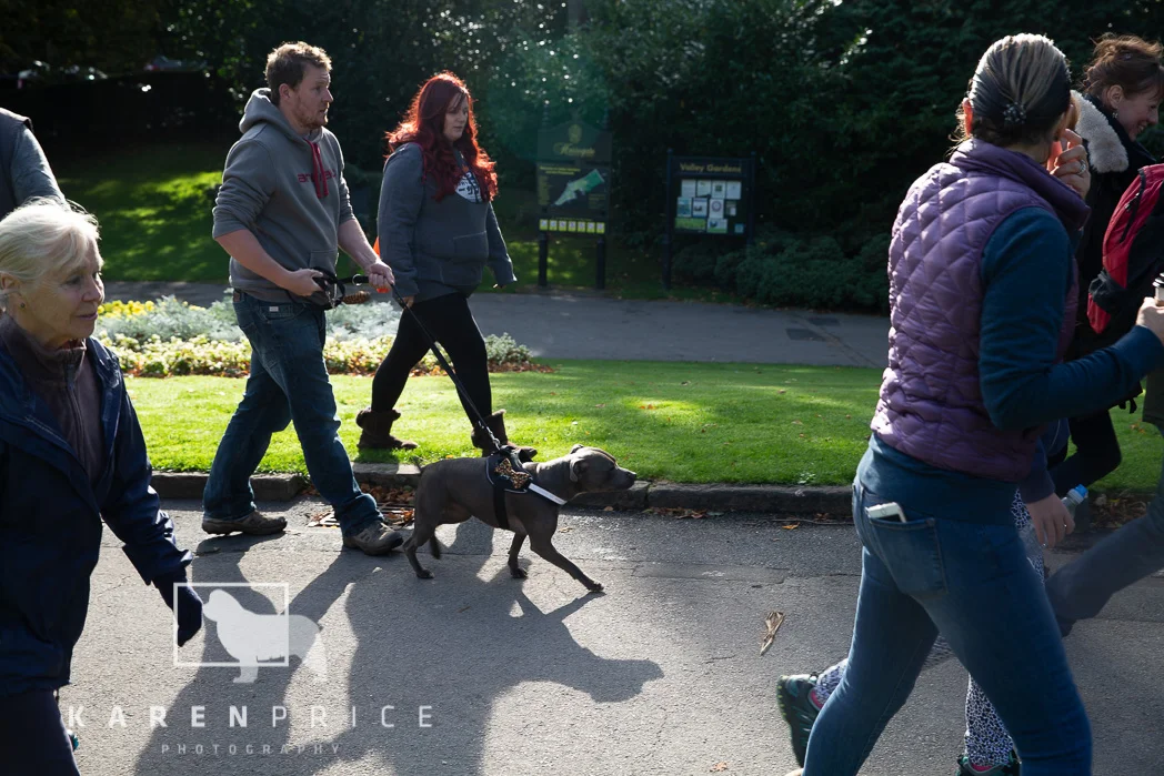 Moorview Dog Walk 2018-031.jpg