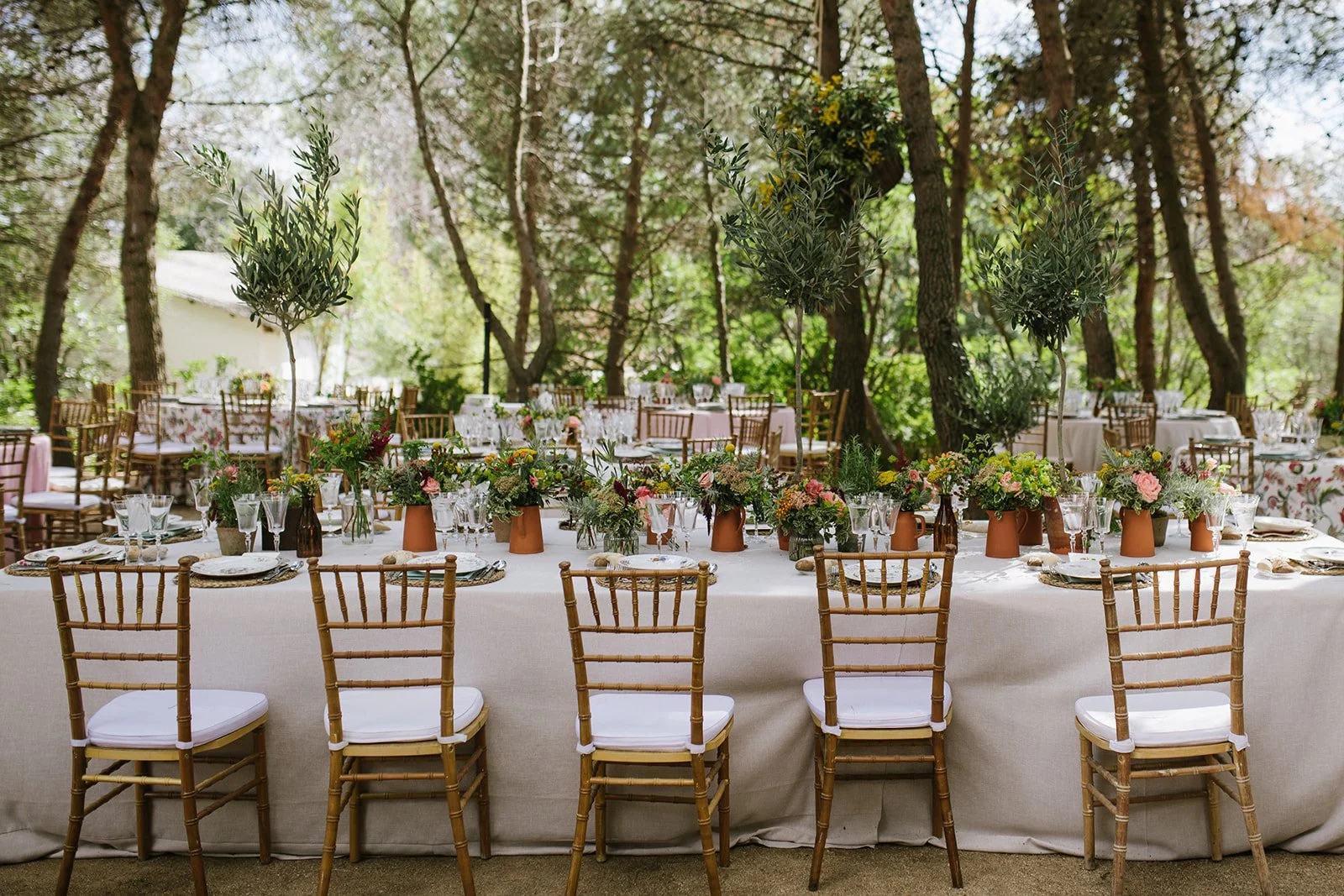 boda_M&D_pelillosderaton_-924.jpg