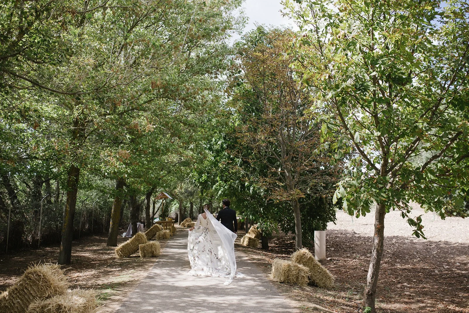 boda_M&D_pelillosderaton_-876.jpg