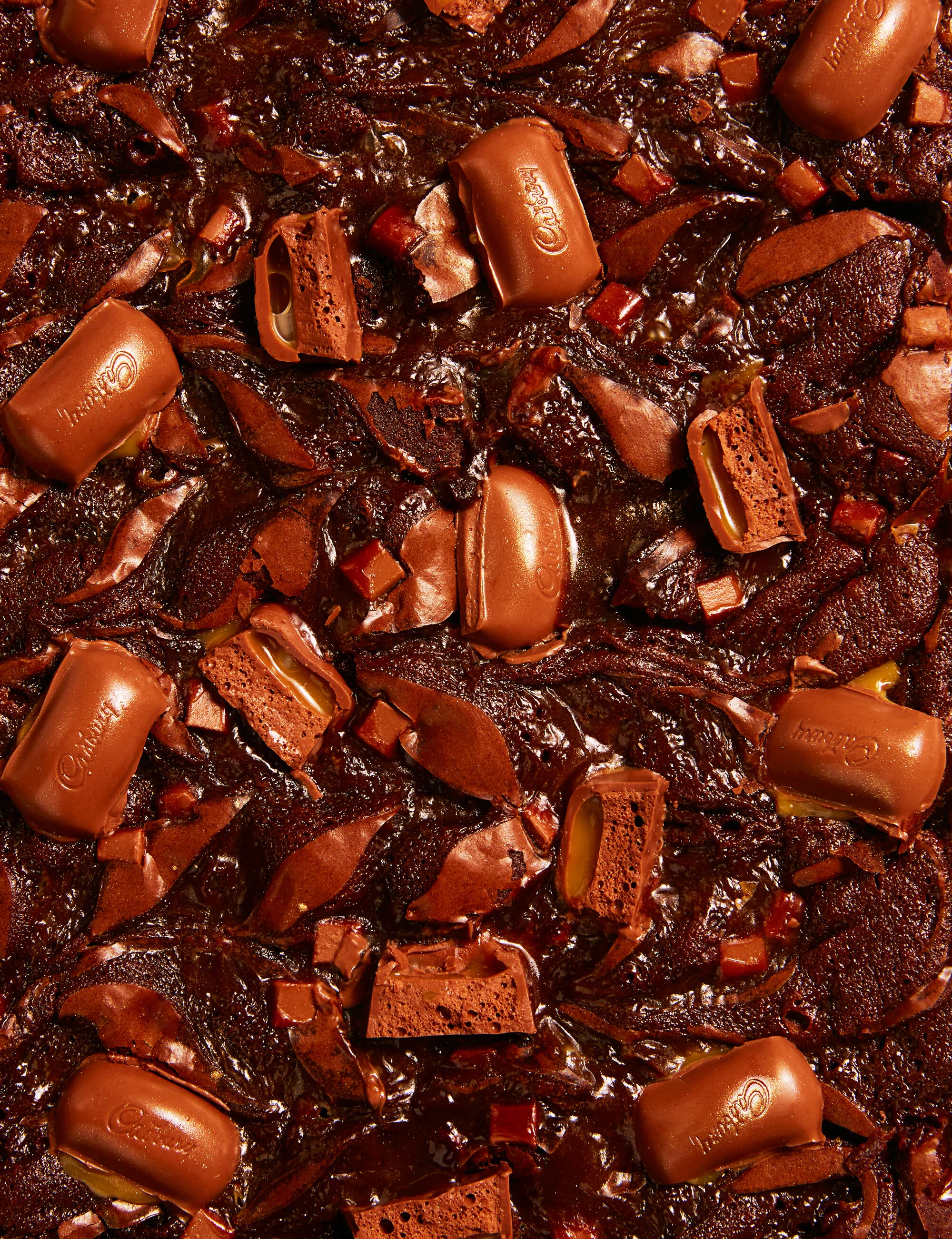FinchBakery_Chocolate-Caramel-Brownies_JessicaGriffiths.jpg