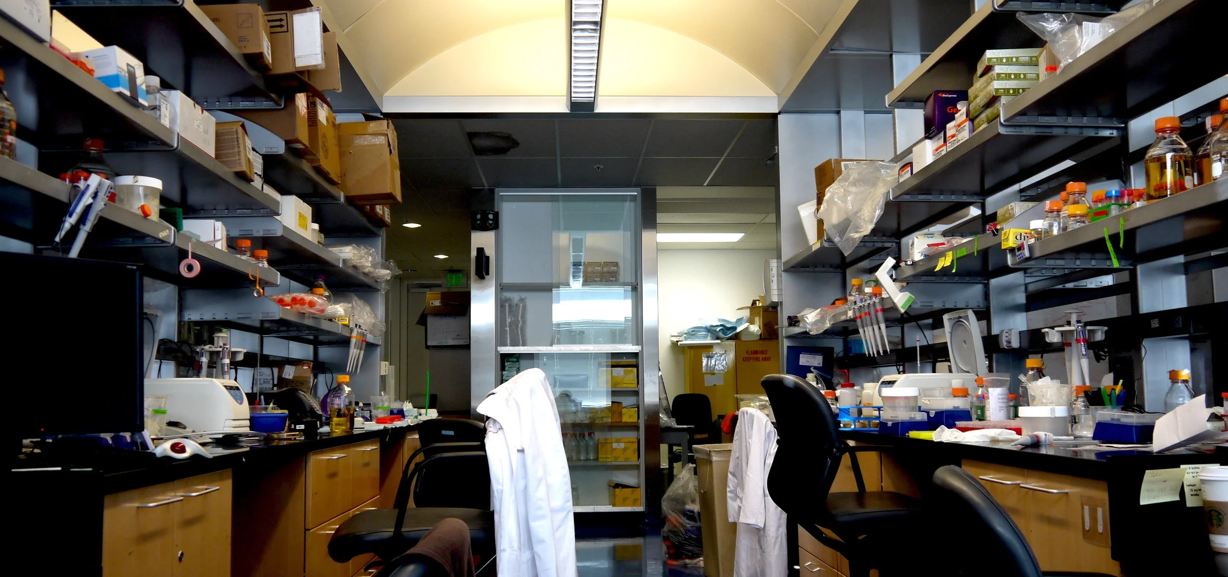 Professor Lin's Laboratory at the Stanford School of Medicine. Image courtesy of the Lin Lab.