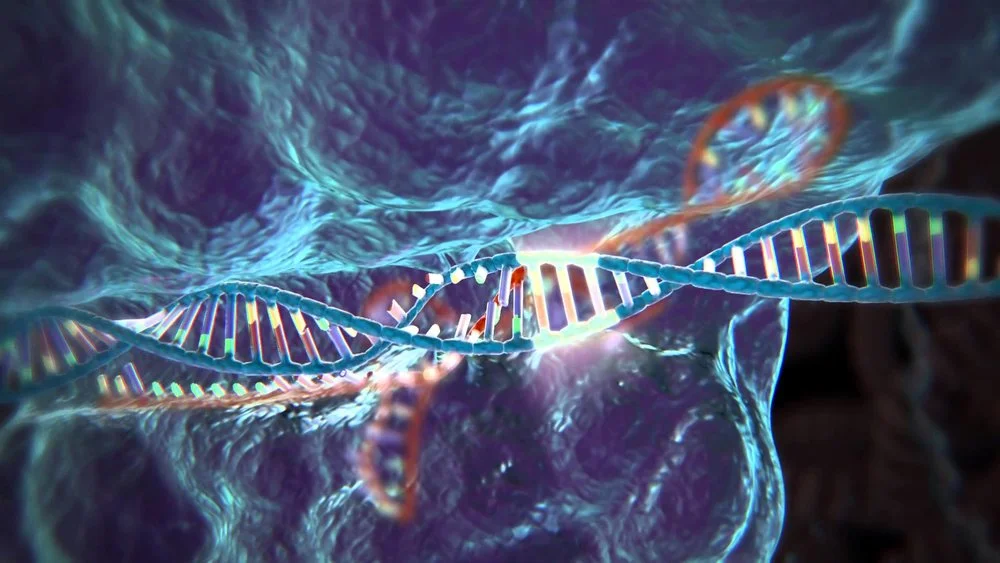 CRISPR Technologies at Stanford By Peter Dun