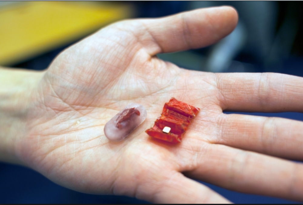 MIT's Origami Bots and the Promise of Nanotechnology By Kendall Costello