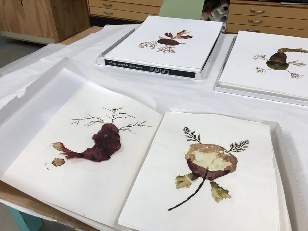 Gail's most recent work on copepods.