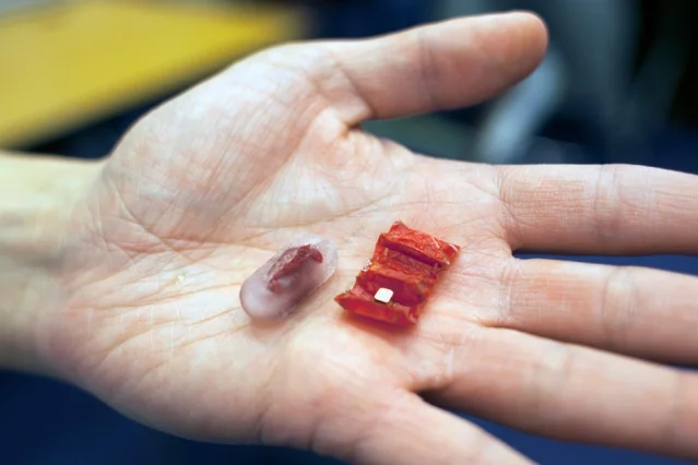 MIT’s newly designed capsule (left) and unfolded origami device (right)