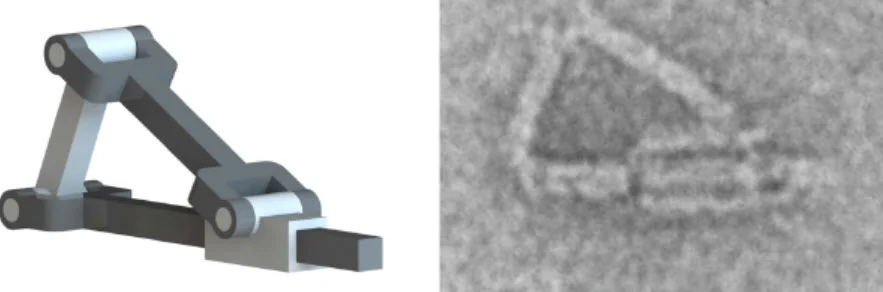 A machine made with DNA “origami” developed at Ohio State University.
