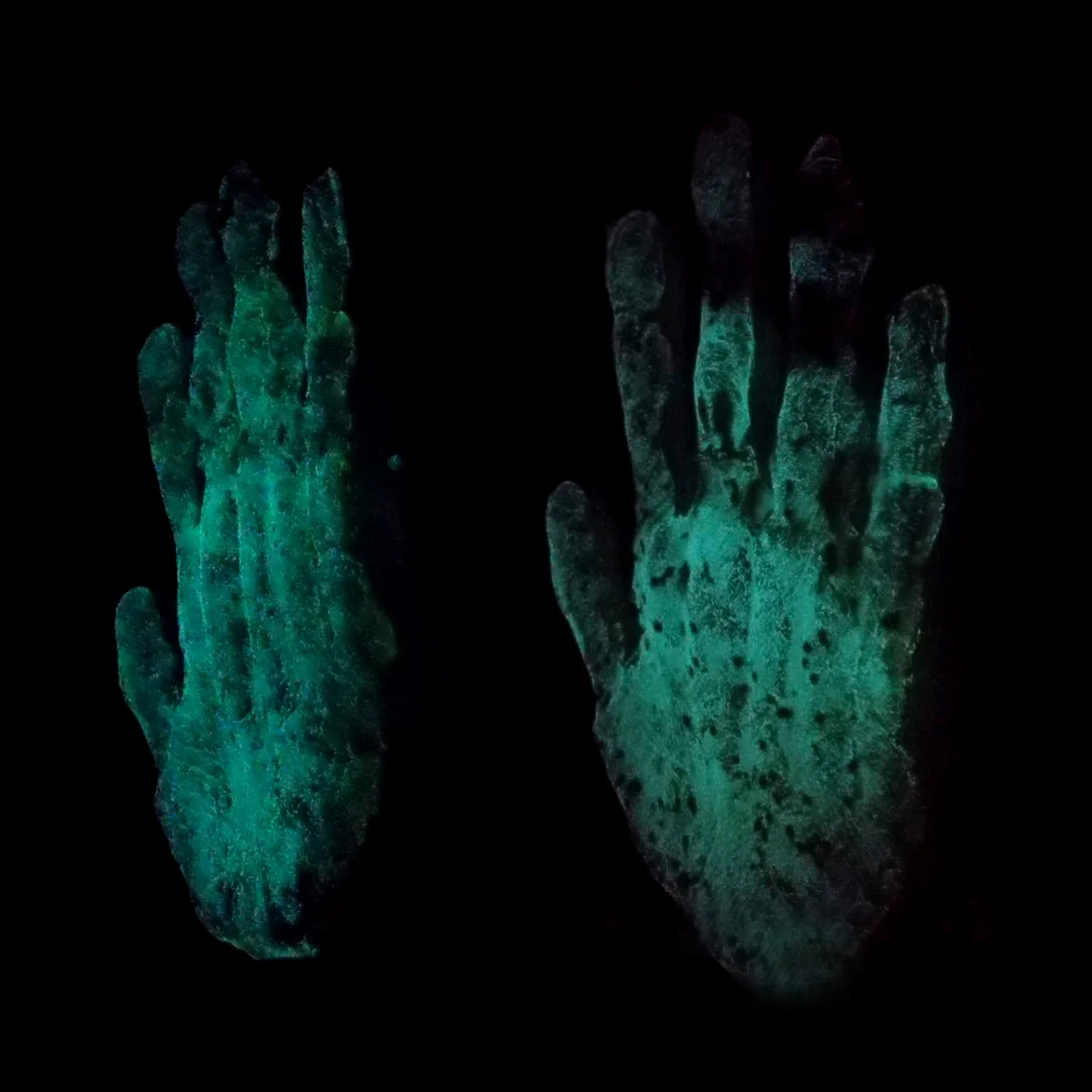 Touch/Transfer” 