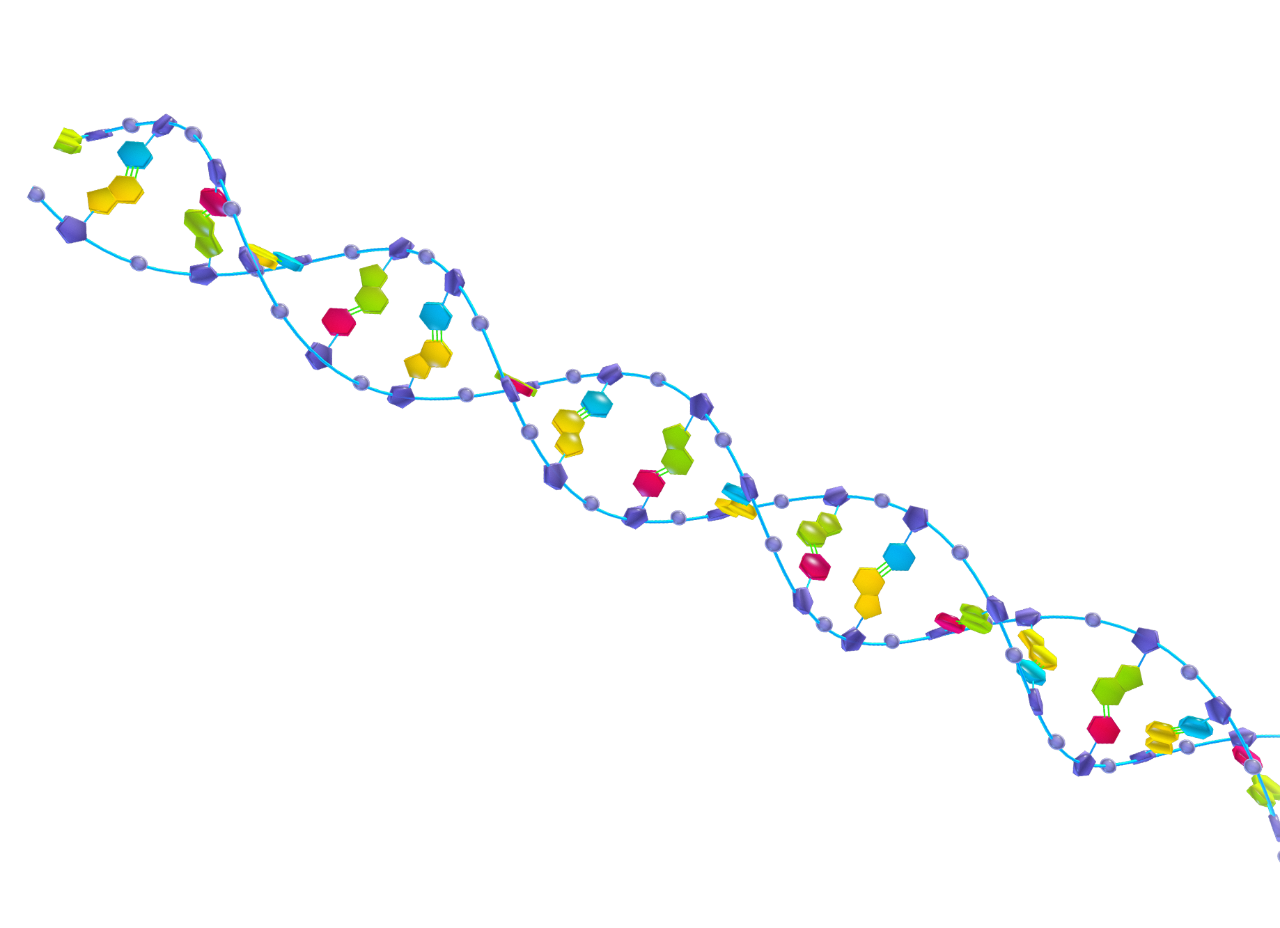 Ethics of Genetic Engineering in the 21st Century By Francesca Kim