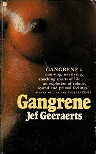 Experiences of a Belgian administrator in the Congo. Explores the distorting effects of life in a vastly different culture. For mature audiences.