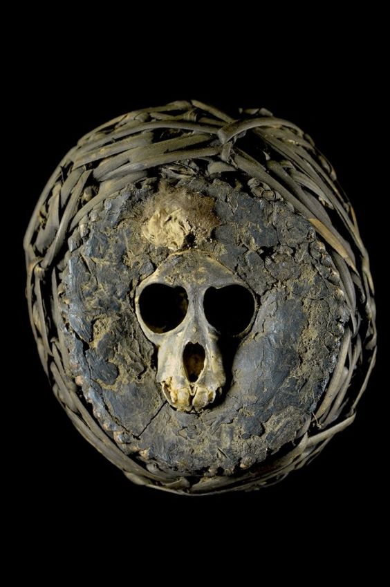 A nkisi bumba fetish. These are made from primate skulls (monkey, gorilla, chimpanzee or lemur). Nkisi means magic, and b umba signifies a ball or box for medicine, or in its verb form it means "to reap". Yombe people, Democratic Republic of Congo.